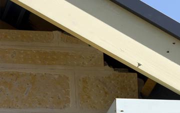 soffit repair Carfin